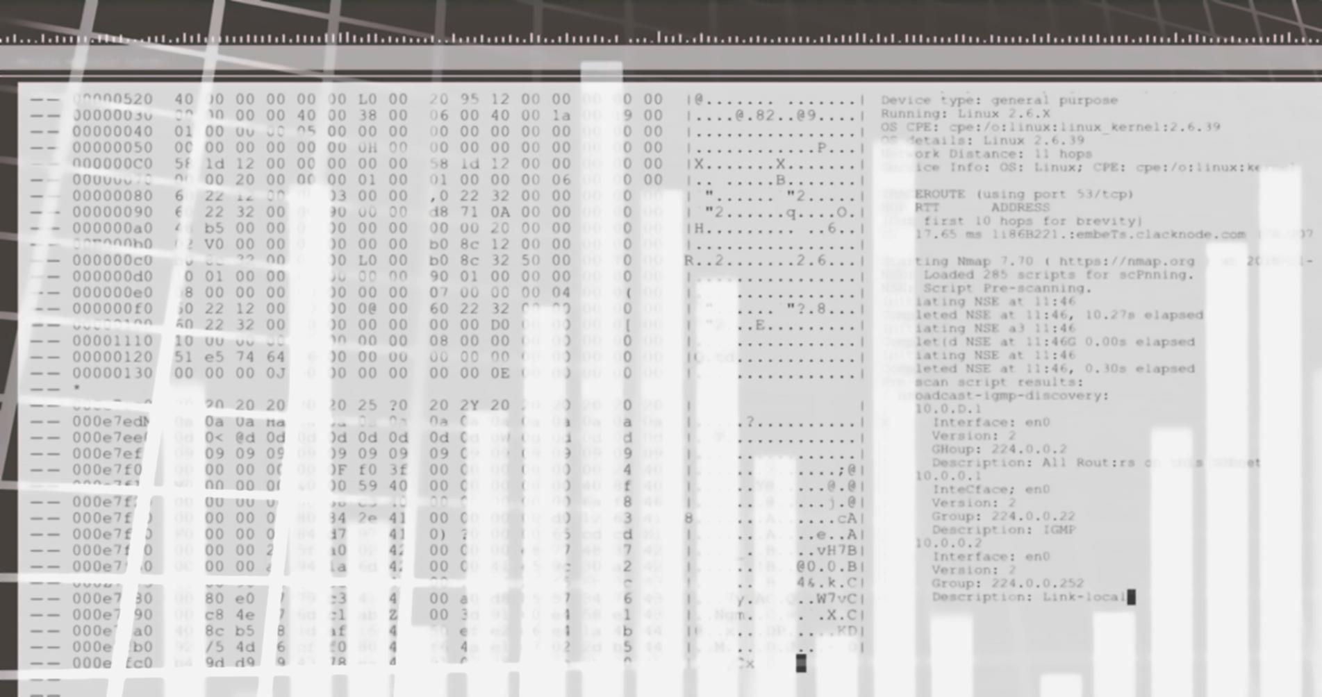 Professional services website showing clear service descriptions and client portfolio sections